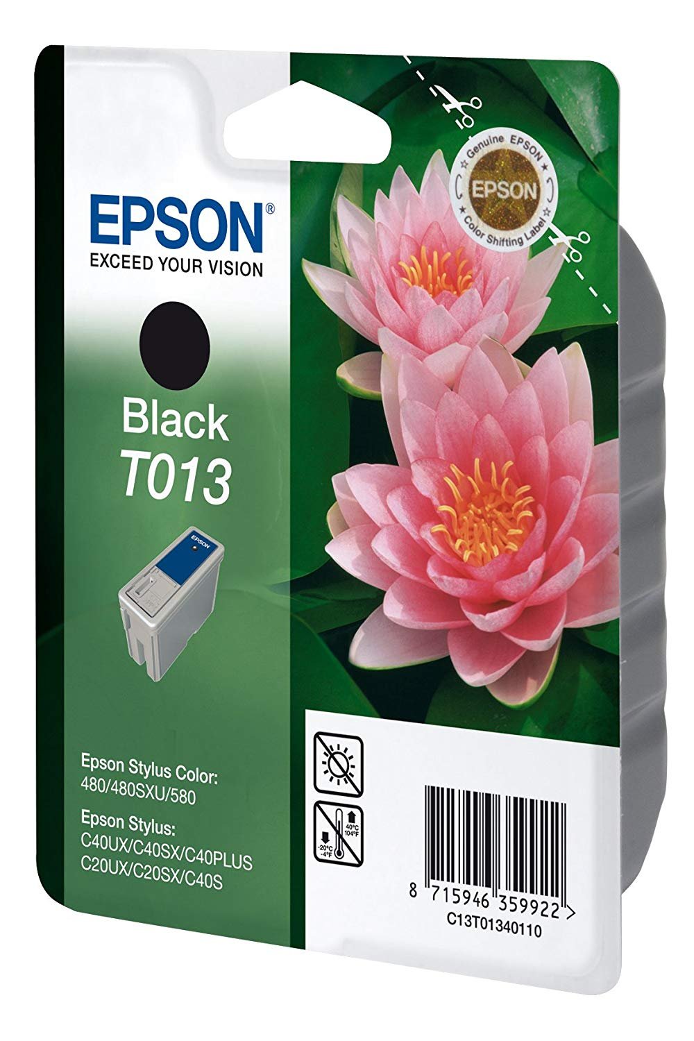 Epson T013 Black Original Ink Cartridge