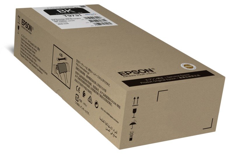 Epson T9731 Black Ink Cartridge